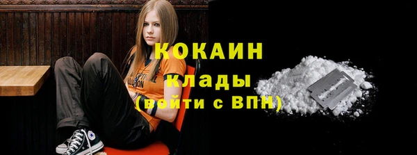 соль ск Горняк