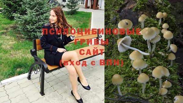 соль ск Горняк