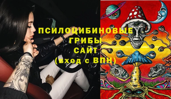 соль ск Горняк