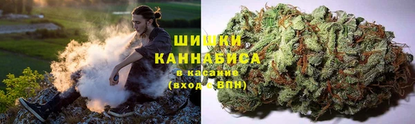 соль ск Горняк