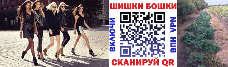 Каннабис Amnesia  Купить где  Кировск 